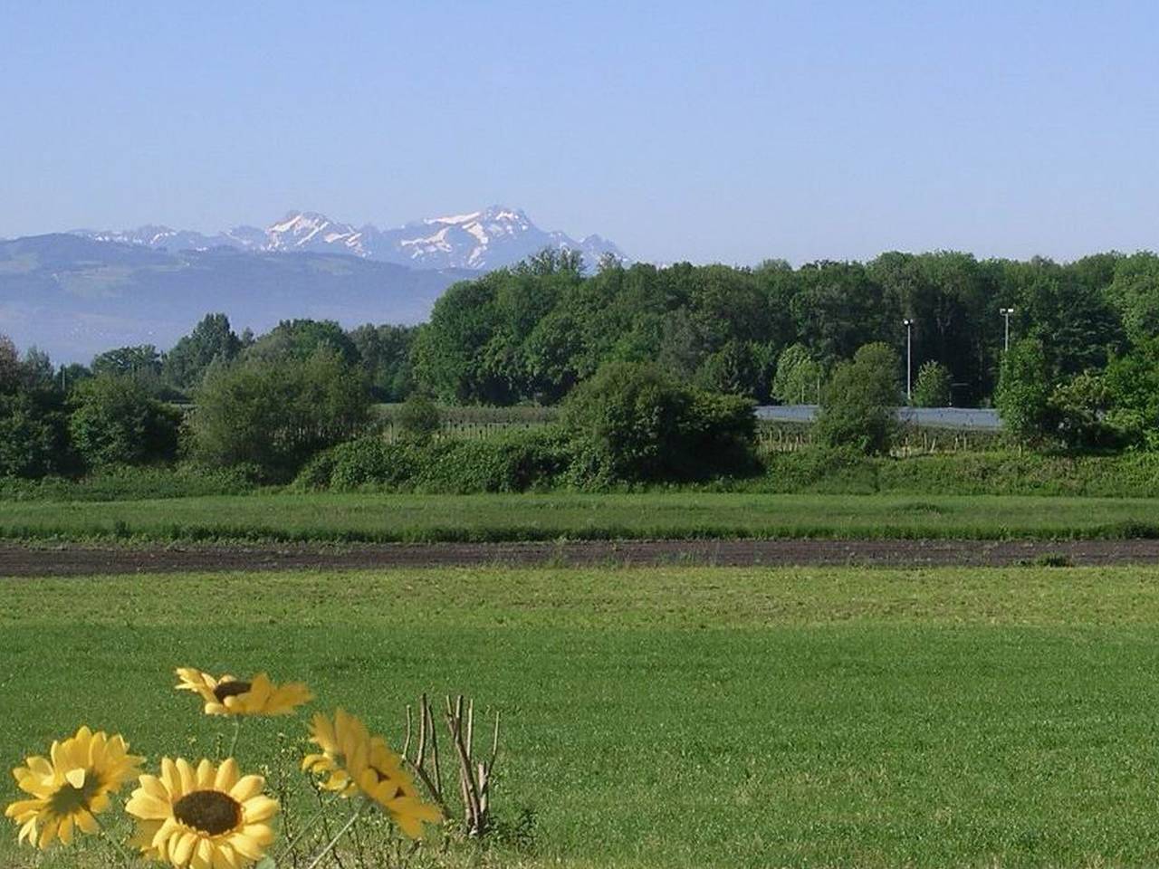 Ganze Wohnung, Ferienwohnung 'Meier' mit Balkon und Wlan in Kressbronn am Bodensee, Region Bodensee-Oberschwaben
