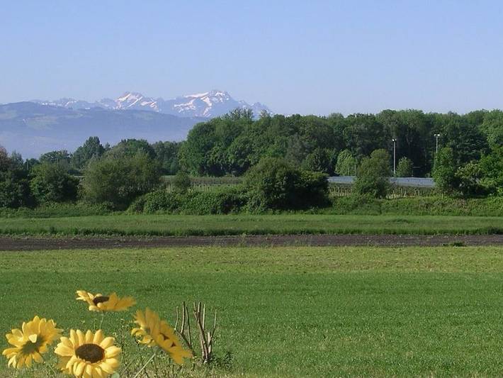 Apartamento entero, Apartamento 'Ferienwohnung Meier' con balcón y Wi-Fi in Kressbronn, Region Bodensee-Oberschwaben