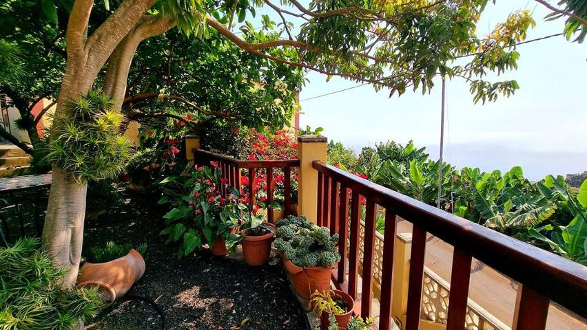 Casa rural para 3 personas, con jardín en San Andrés y Sauces - 2