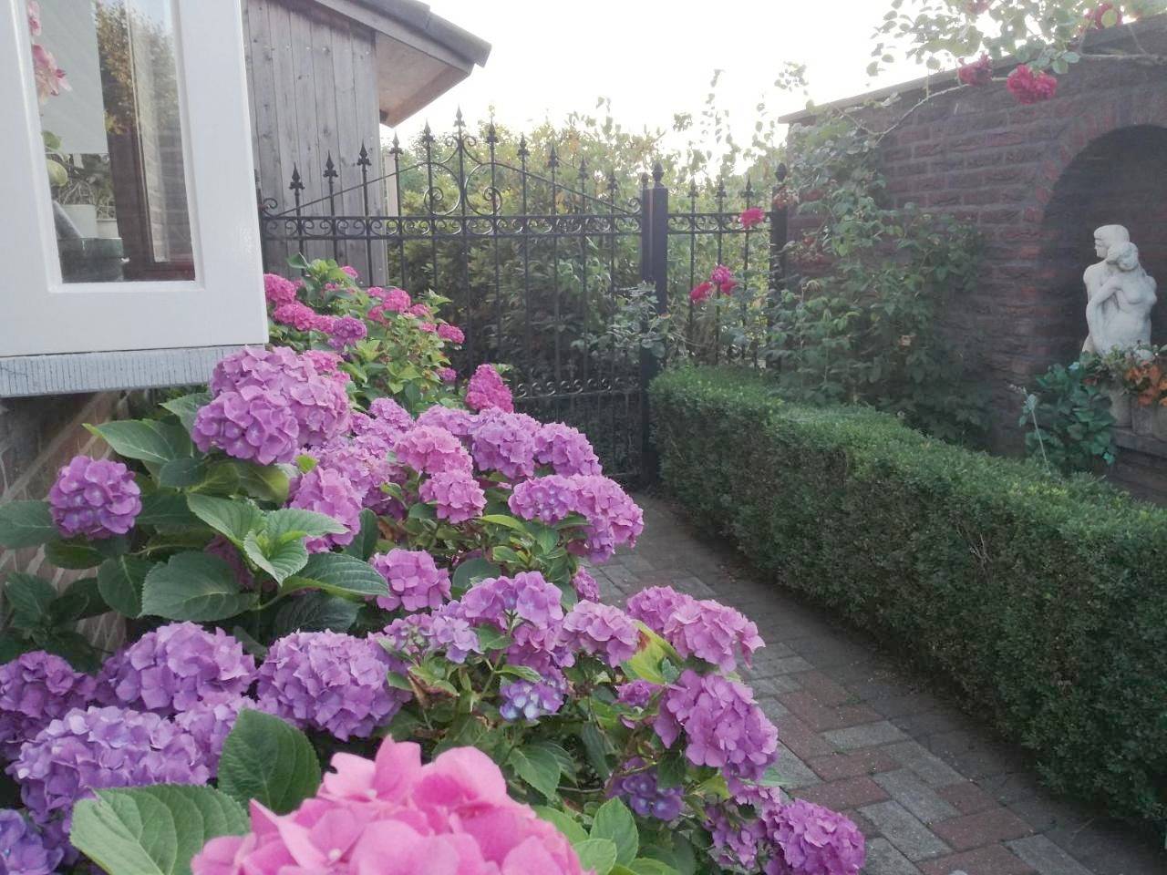 La Rose in Overpelt, Limbourg (Belgique)