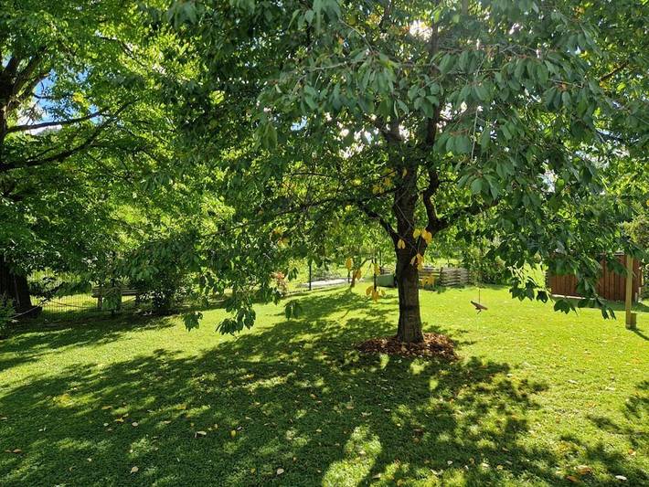 Ferienhaus für 6 Personen, mit Garten in Rudolstadt - 2
