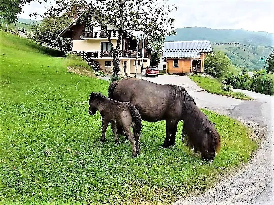 Apartamento entero, Chalet 6 Personas 75m2 in Le Corbier, Villarembert