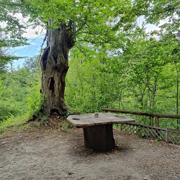 Camping für 6 Personen, mit Garten in der Toskana - 2