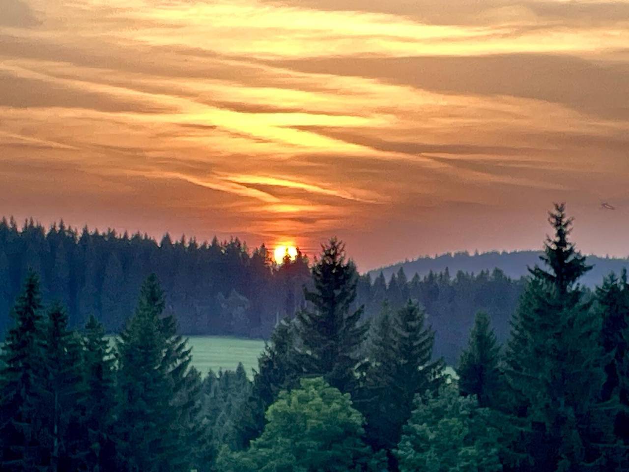 Ganze Wohnung, Ferienwohnung Lindenhof" mit Bergblick, Gemeinschaftsgarten und Wlan in Suedlicher Schwarzwald, Lenzkirch