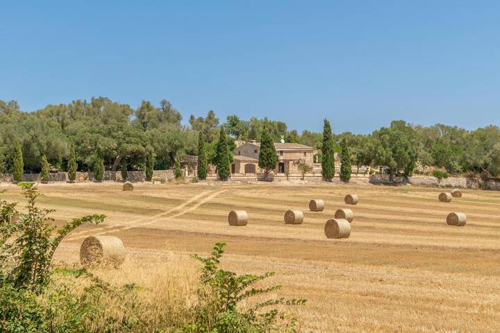 Finca für 10 Personen, mit Garten in Sant Joan (Mallorca) - 3