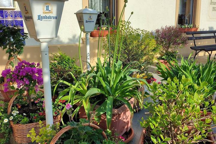 Hotel und Pension preiswert und gut in Hochkirch, Oberlausitz-Niederschlesien