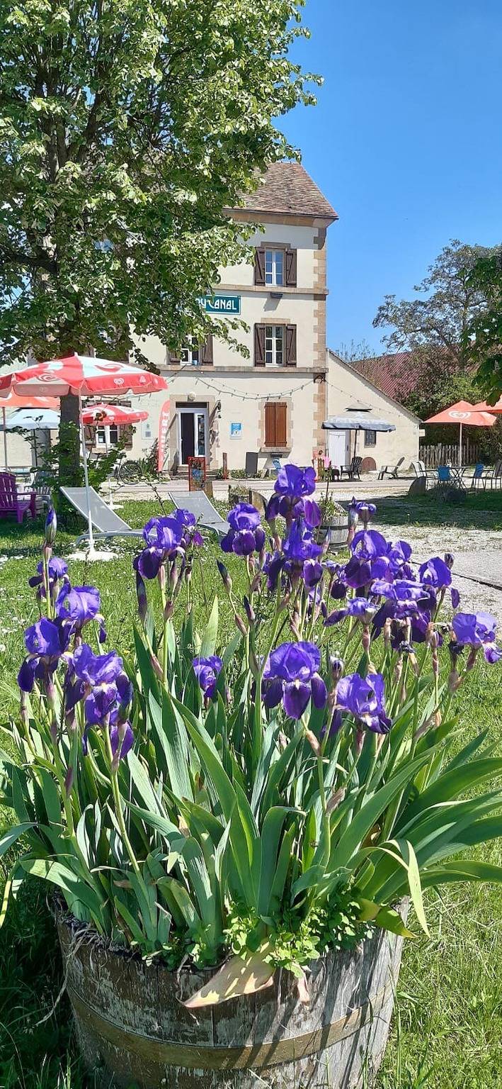 Chambre d’hôte pour 2 personnes, avec jardin, animaux acceptés dans Clamerey