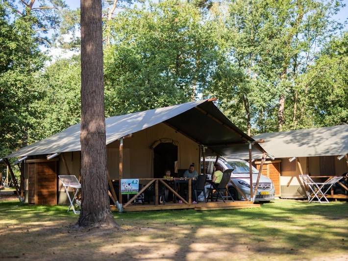 Luxe tent voor 4 personen, met Terras en Tuin in Noord-Brabant