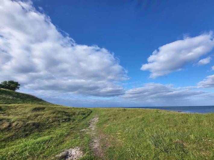 Ferienhaus für 4 Personen, mit Terrasse, mit Haustier in Grenå Strand - 2