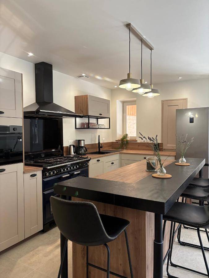 Location de vacances pour 9 personnes, avec jardin et terrasse dans Marais Poitevin Le Vanneau Irleau - 2