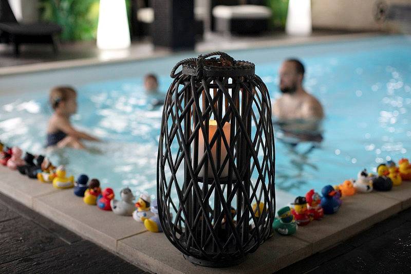 La clairière aux cerfs,Chalet Bellevue, espace Bien-Être, piscine in Ventron, Parc naturel régional des Ballons des Vosges
