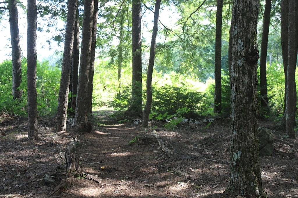 Waterfront Cottage on Scenic Sportsman Pond in Fitzwilliam, New Hampshire