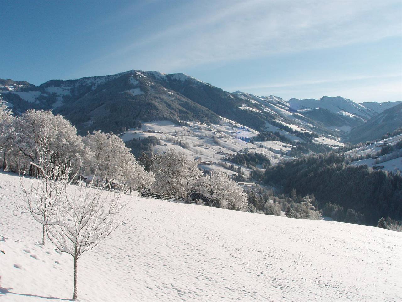 Appartement "Wiedersbergerhorn" in Alpbach, Kaisergebirge