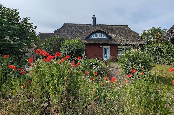 Luxus-Ferienhaus für 8 Personen, mit Terrasse und Garten