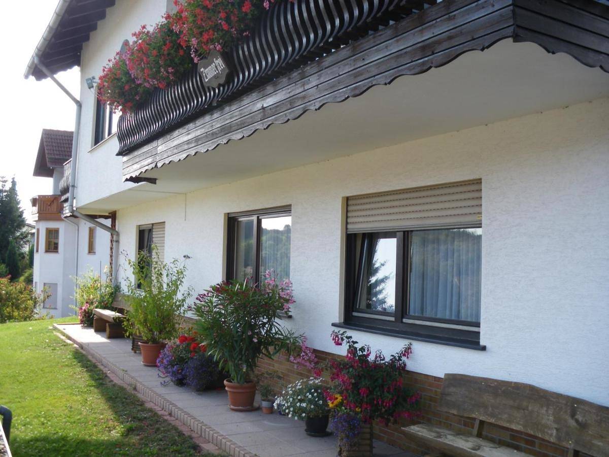One-Bedroom Apartment in Schotten, Vogelsberg Region