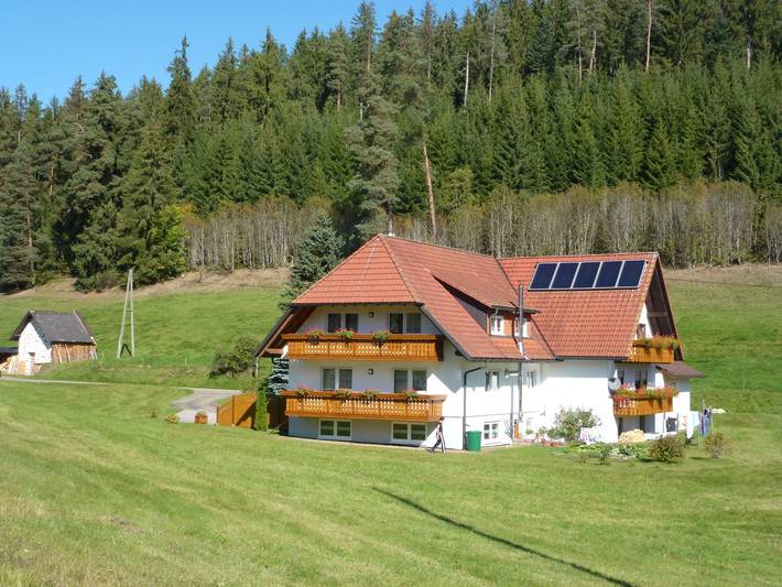 Ferienwohnung für 6 Personen, mit Balkon und Garten in Eisenbach Hochschwarzwald