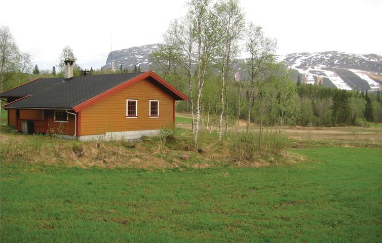 Ferienhaus für 8 Personen, mit Haustier in Hemsedal - 2