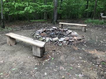 Vacation House for 6 Guests in Allegheny National Forest, Elk County, Picture 4