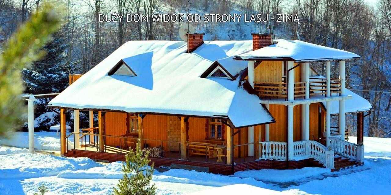 Bieszczady Sosnowa Aleja in Karpaty (Polska)