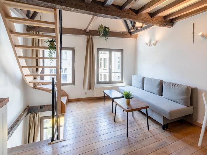 Ganze Wohnung, Geräumige Unterkunft für 11 Personen in Antwerpen in Antwerpen, Antwerpen und Umgebung