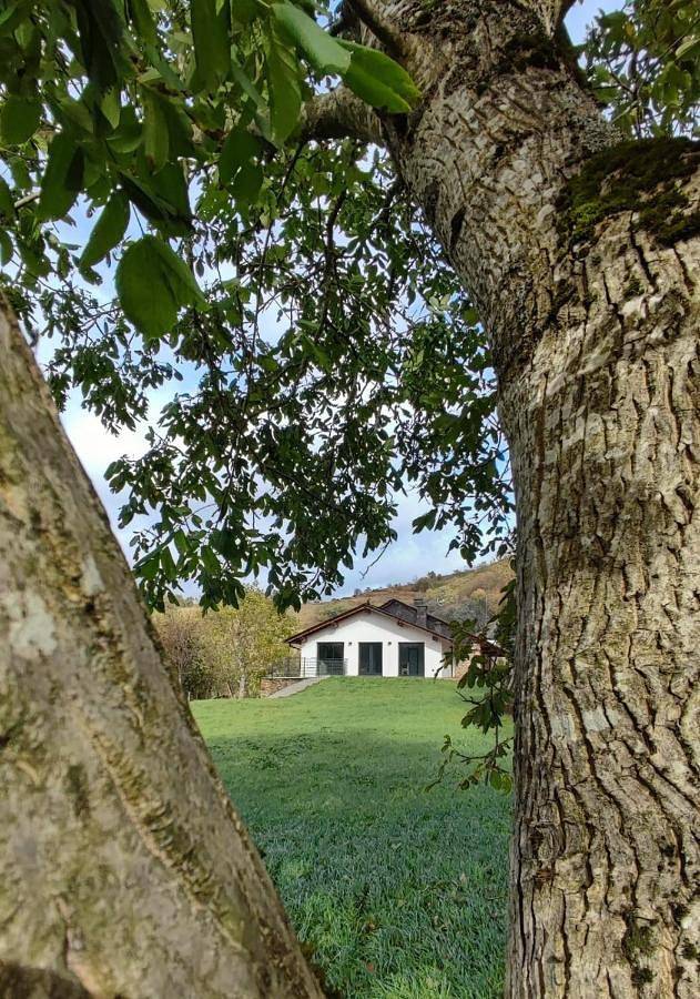 Apartamento de vacaciones para 4 personas, con terraza además de jardín y vistas en Parque Natural de las Fuentes del Narcea, Degaña e Ibias