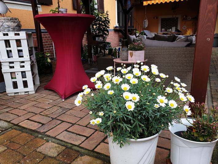 Pension Max - Einzelzimmer in Senftenberger See, Senftenberg