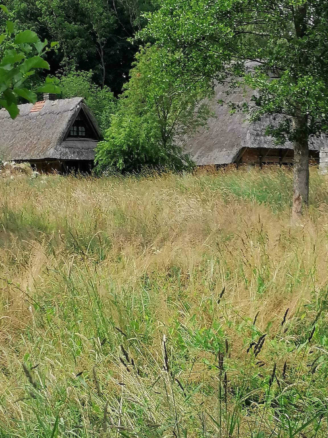 Ganze Wohnung, Ferienwohnung 'Charmante Wohnung Im Natur-Wald'  in Kalkhorst, Nordwestmecklenburg (Wismar und Umgebung)