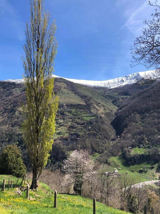 Location de vacances pour 6 personnes, avec vue ainsi que jardin et terrasse à Borce - 2
