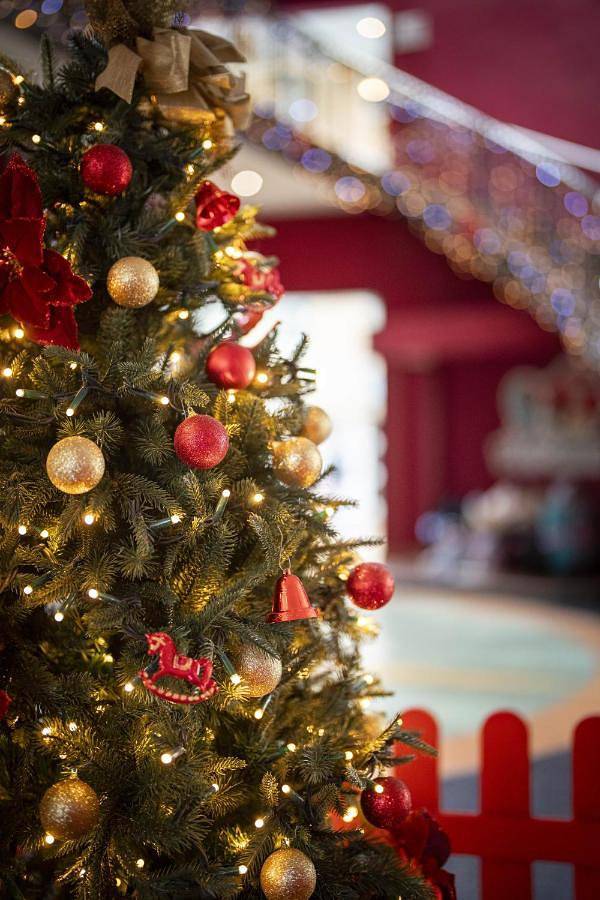 Hôtel pour 6 personnes, avec piscine et jardin à Magny-le-Hongre - 4