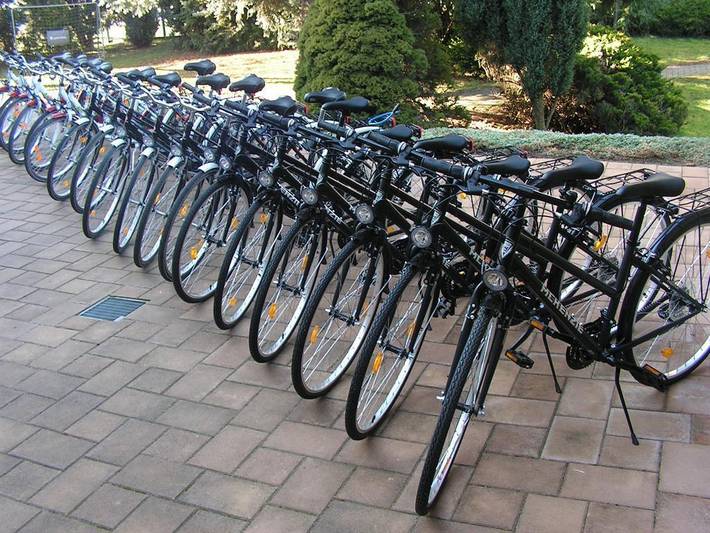 Ferienwohnung für 4 Personen, mit Garten in Naumburg - 3