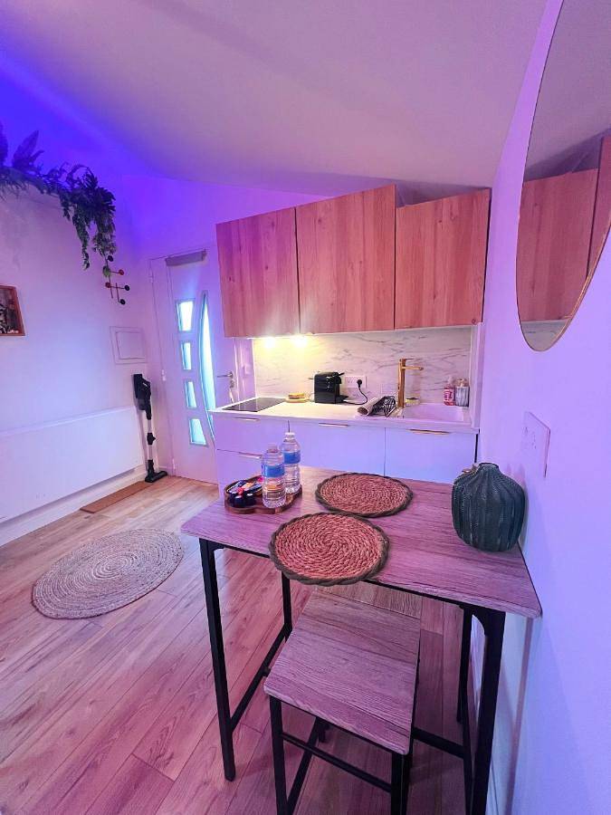 Gîte pour 2 personnes, avec jardin et jacuzzi à Mérignac - 3