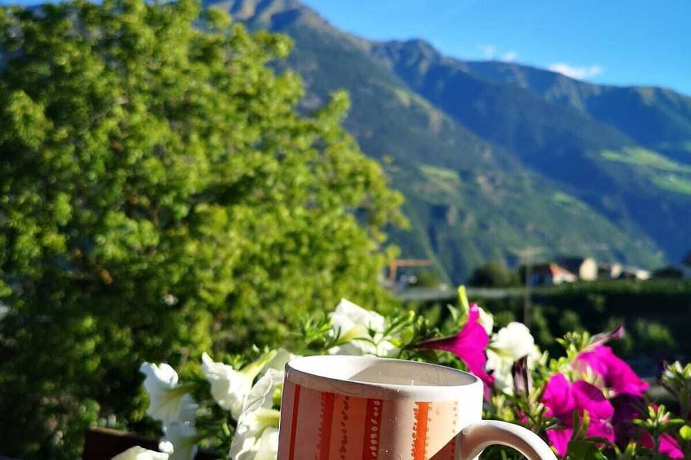 Ganze Wohnung, Bauernhof mit Kleintierhaltung, Streichelzoo, Schnupperreiten ,schön gelegen . in Tarsch, Latsch