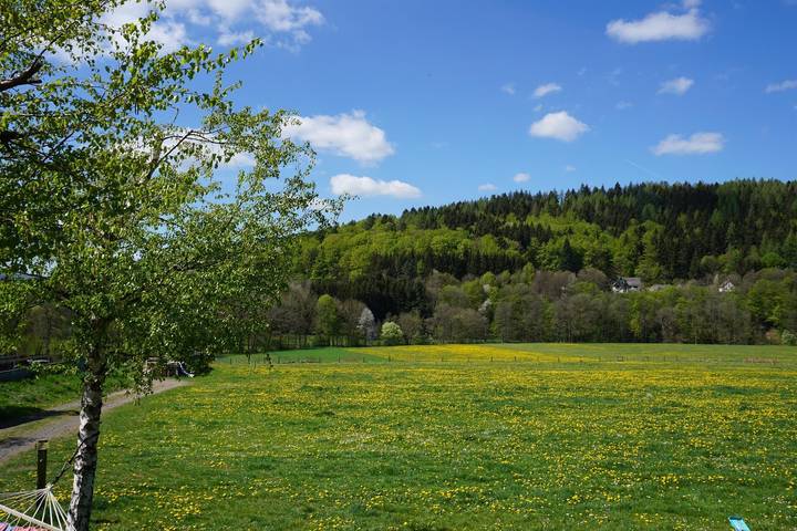 Bauernhof für 6 Personen, mit Garten, kinderfreundlich an der Rhön - 3