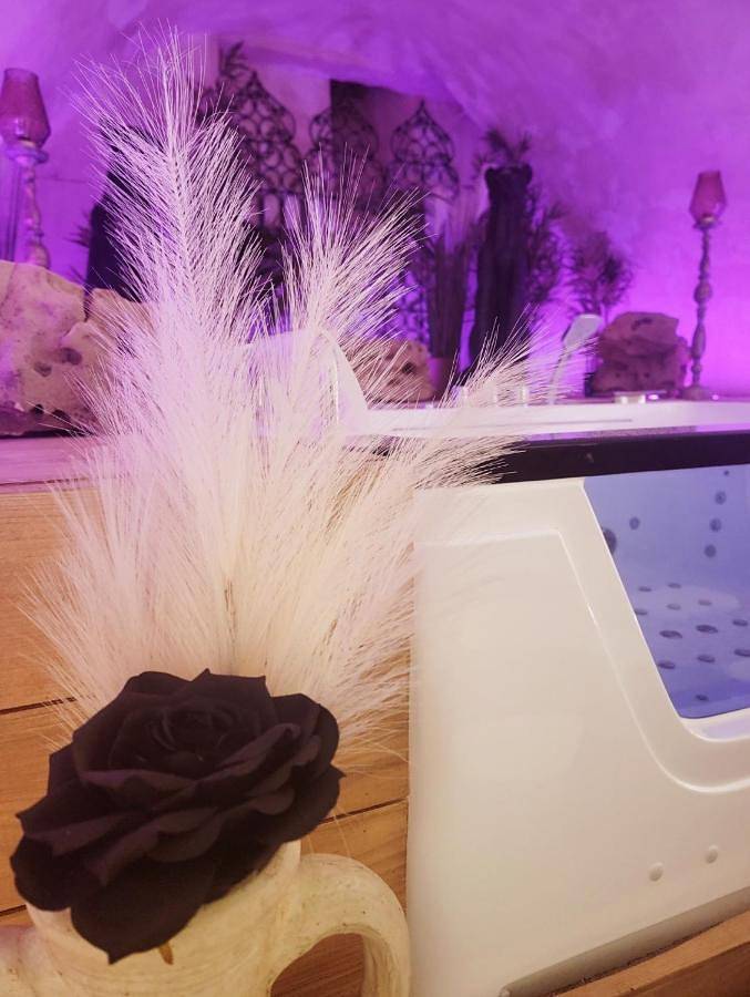 Gîte pour 2 personnes, avec jacuzzi, animaux acceptés à Lunéville - 4