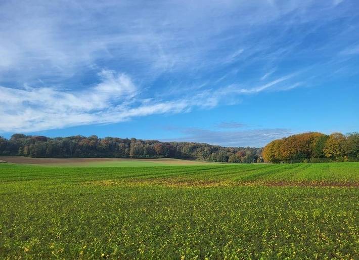 Chambre d’hôte pour 2 personnes, avec jardin ainsi que piscine et vue à Fauquemont - 4