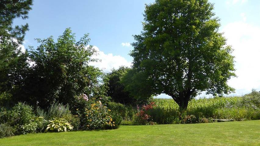 Ferienhaus für 4 Personen, mit Garten in Ammerland - 3