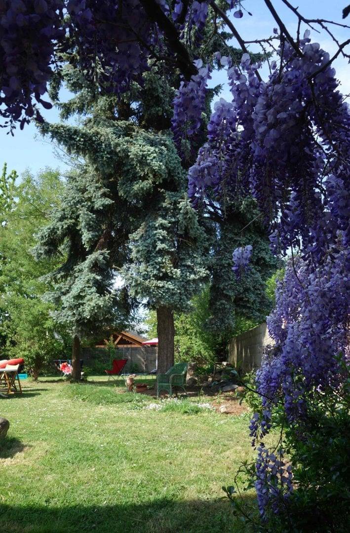 Location chambre d'hôtes " chambre bleue" - Chambre Bleue in Tinténiac, Région de Saint-Malo