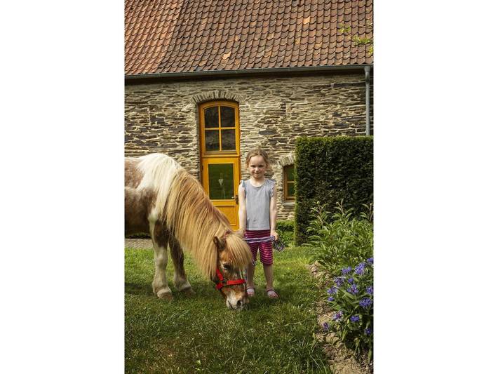 Ferienhaus für 4 Personen, mit Garten im Sauerland - 3