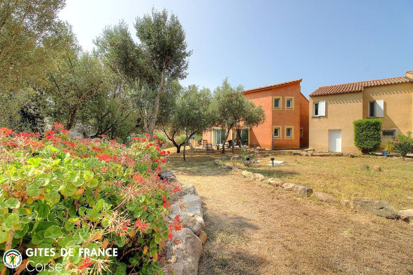 Aja puzzuta in Coti-Chiavari, Region de Ajaccio