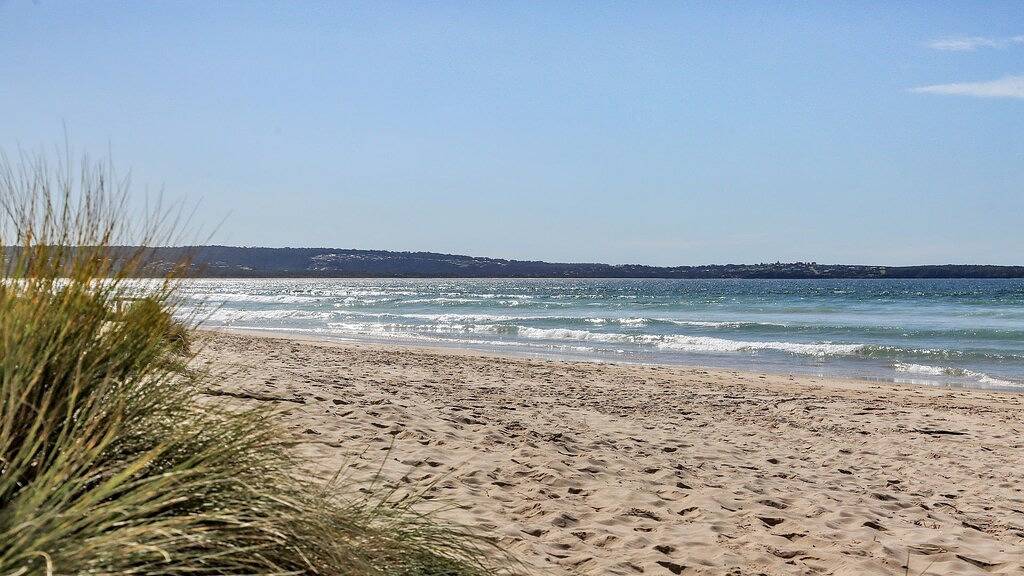 Sullivan ist auf Kanangra in Pambula Beach, New South Wales