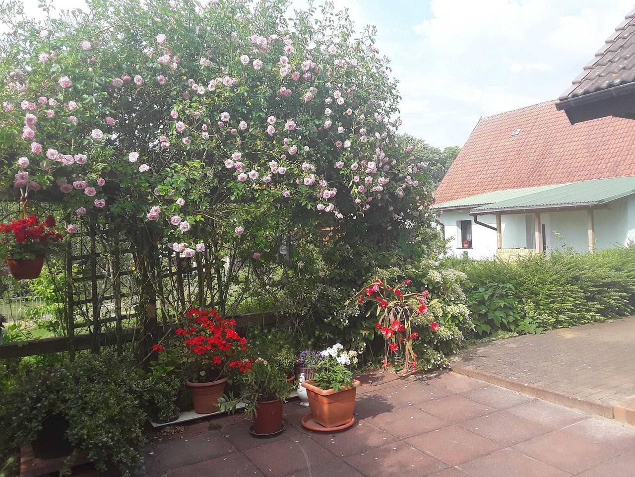 Ferienwohnung am Hufegraben - Ferienwohnung in Grabowhöfe, Mecklenburgische Seenplatte
