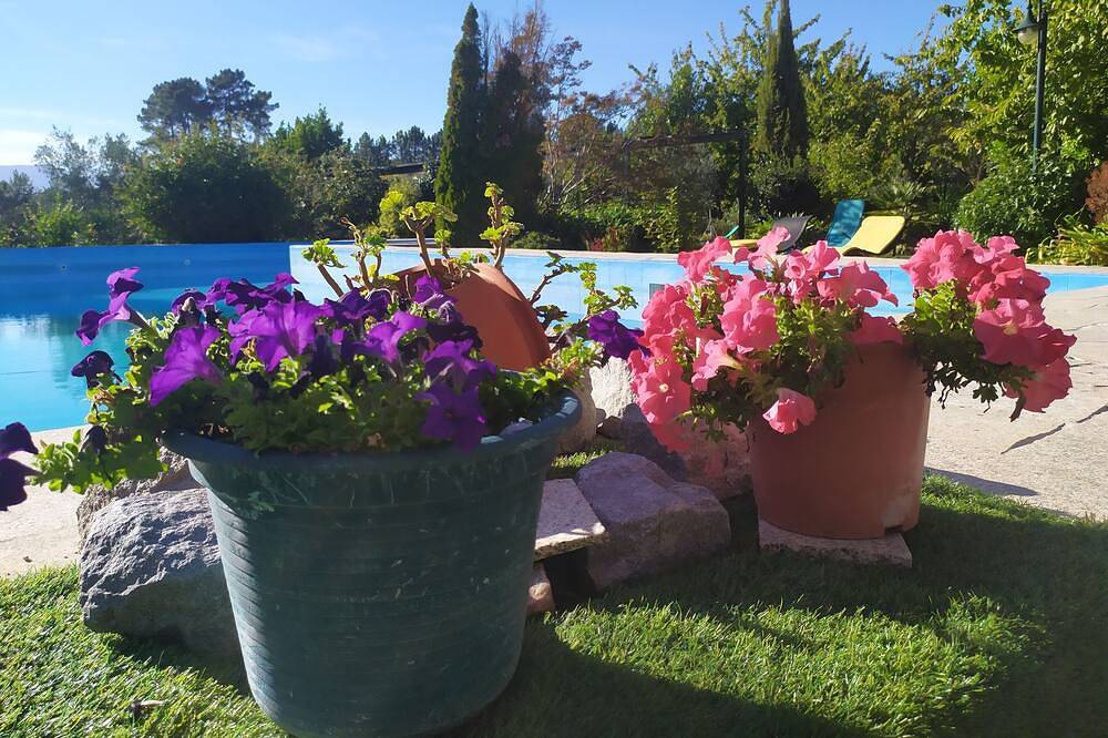 2-bedroom apartment in the Douro region!, foto 8