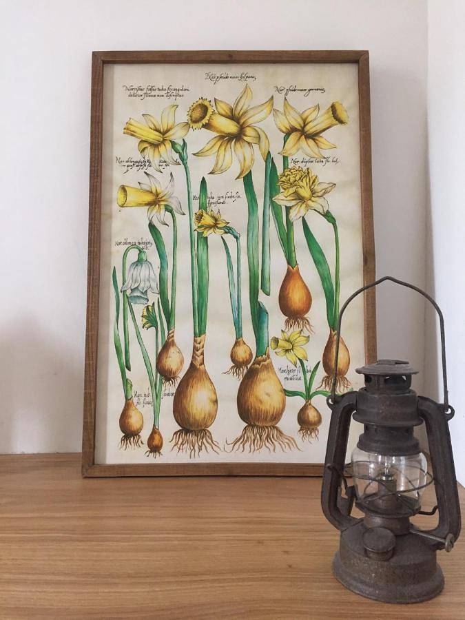 Gîte pour 2 personnes, avec jardin à Saint-Chély-d'Aubrac - 3