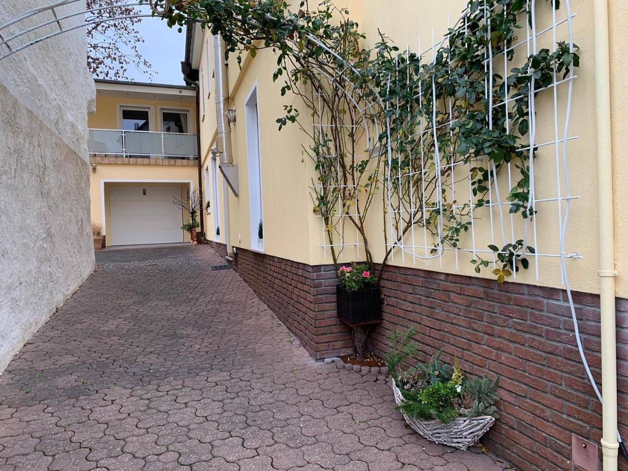 Ganze Wohnung, Apartment in Nierstein, Landkreis Mainz-Bingen