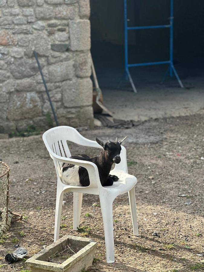 Location de vacances pour 4 personnes, avec terrasse et jacuzzi, animaux acceptés à Réville - 4