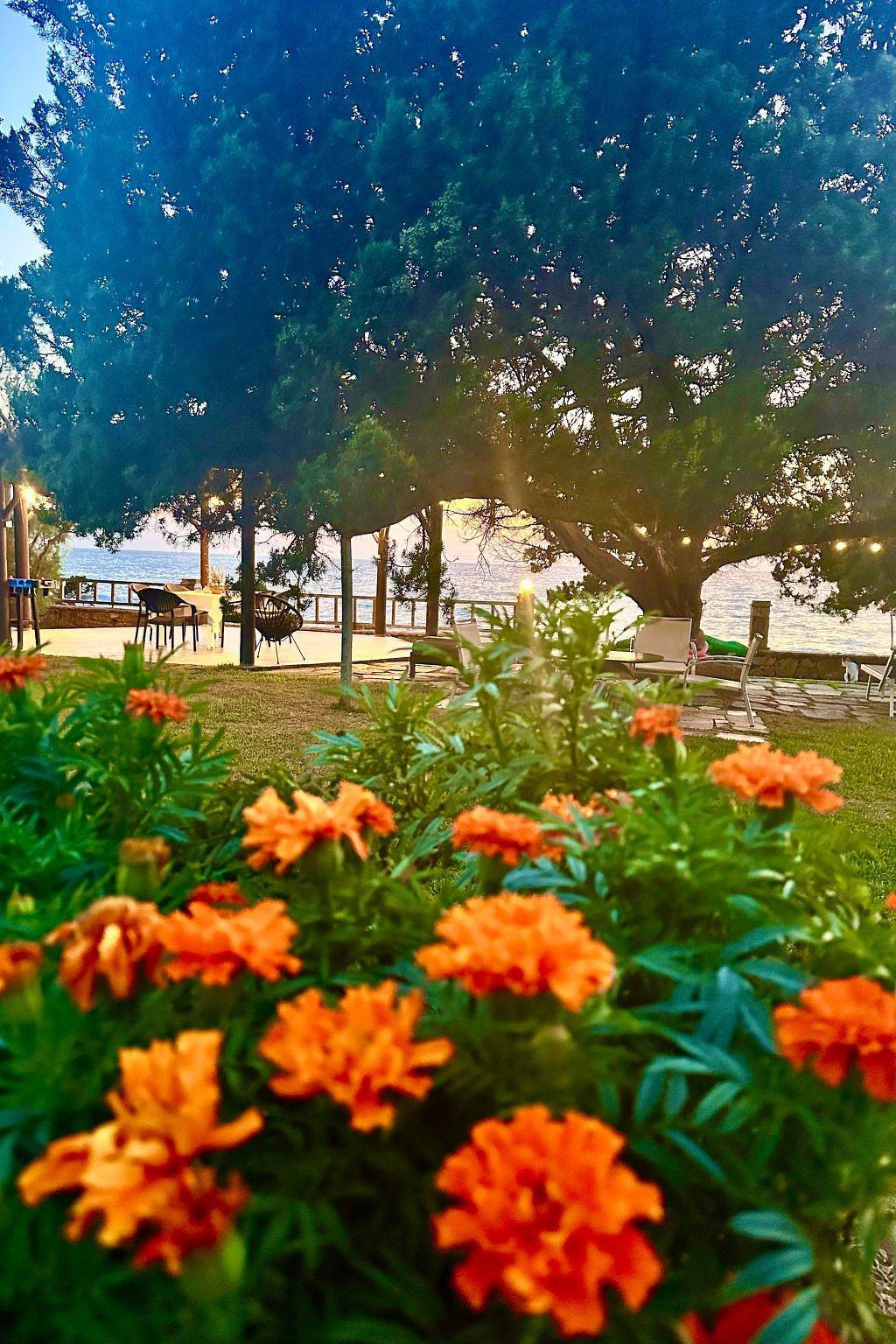 Ganze Wohnung, Apartment mit Meer- und Gartenblick - Genari Beach in Ileia