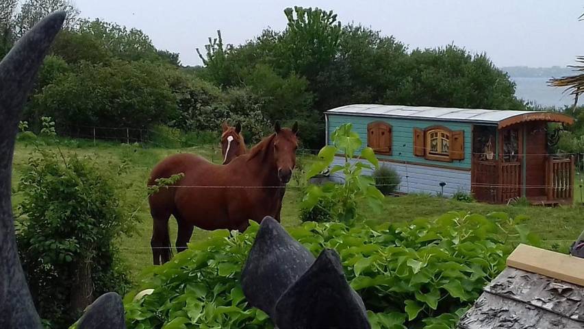 Tente pour 2 personnes, avec vue et jardin dans le Finistère - 4