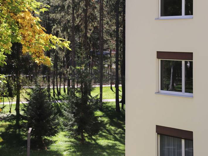 Ferienwohnung für 3 Personen, mit Balkon und Garten in Davos - 2