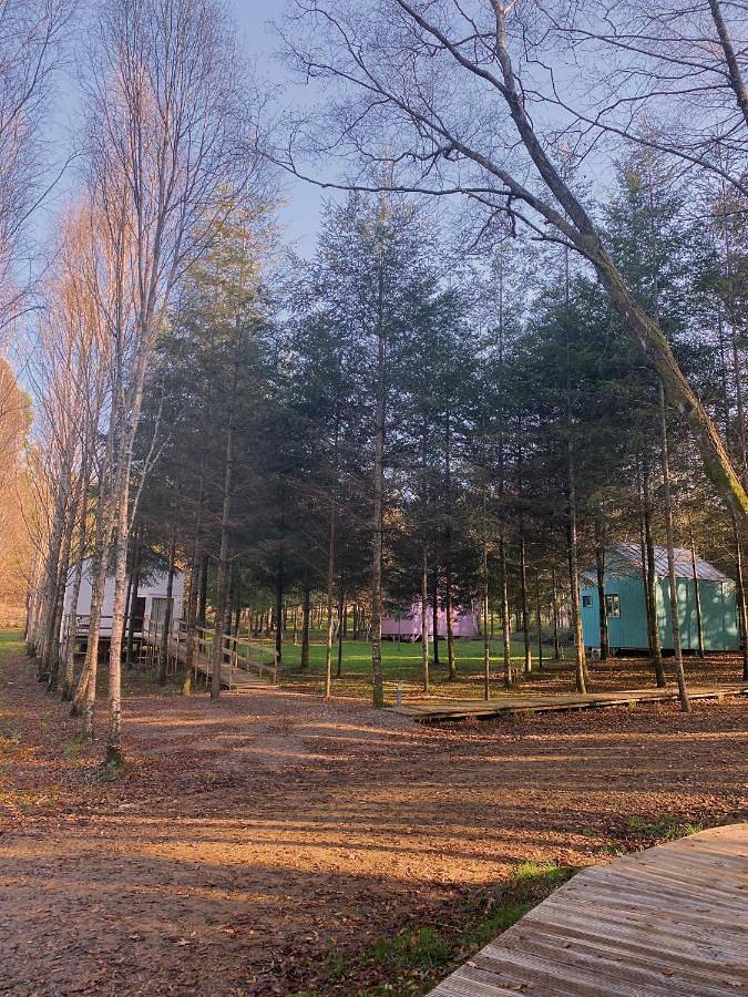 Cabanas da Ulla in Touro , Provincia de La Coruña