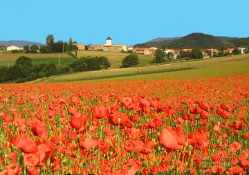 Gîte pour 10 Personnes dans Mazuby, Région de Limoux, Photo 4